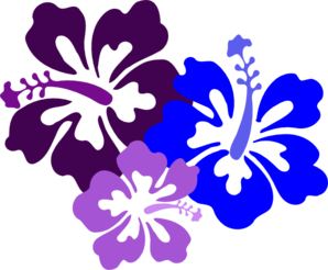 hibiscus-md.png
