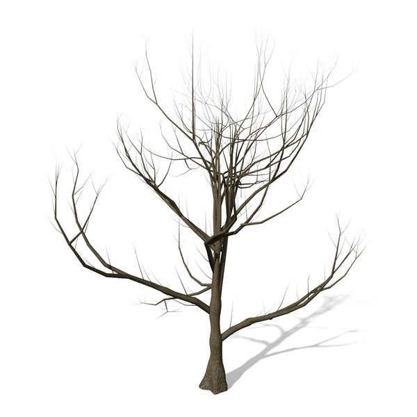 max tree leaves
