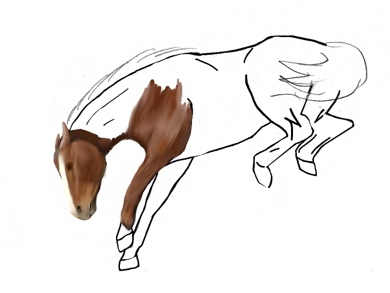 Bucking Horse WIP - ClipArt Best - ClipArt Best