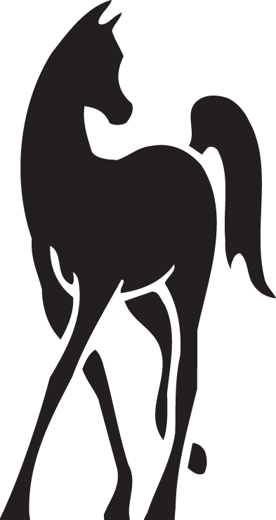 Arabian Horse World | Arab Year
