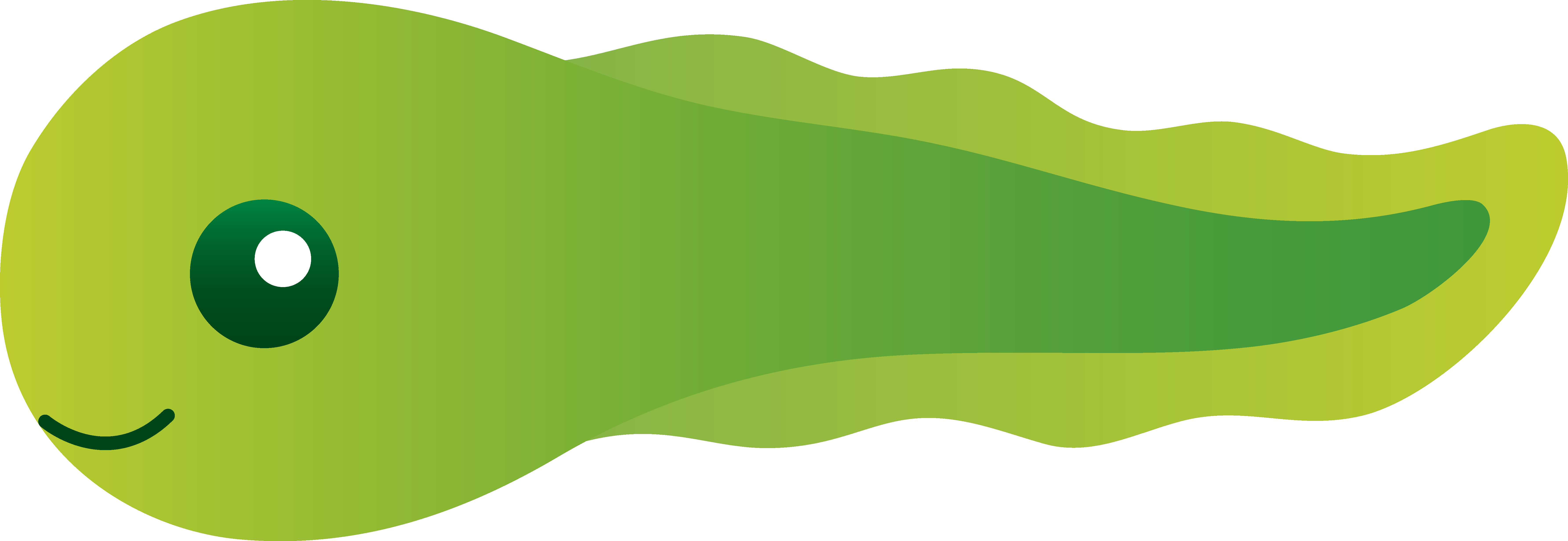Frog and tadpole clipart