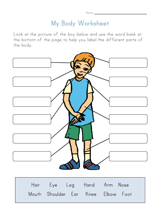 Microscope Diagram For Kids - Free Clipart Images