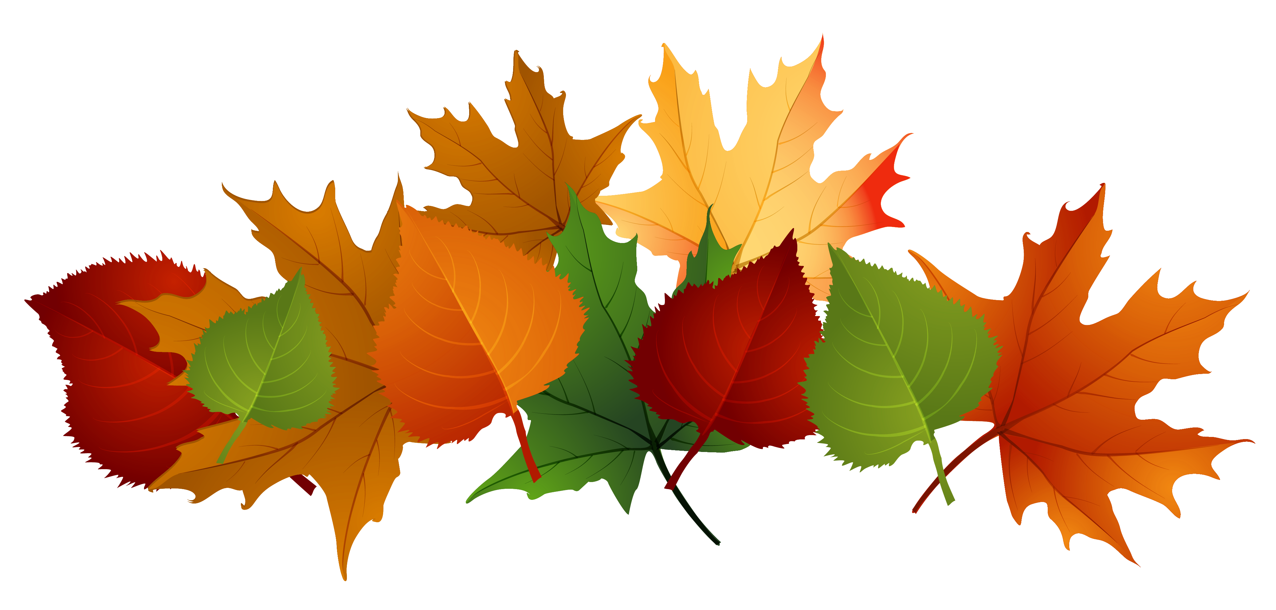 Fall Leaves Border Clipart