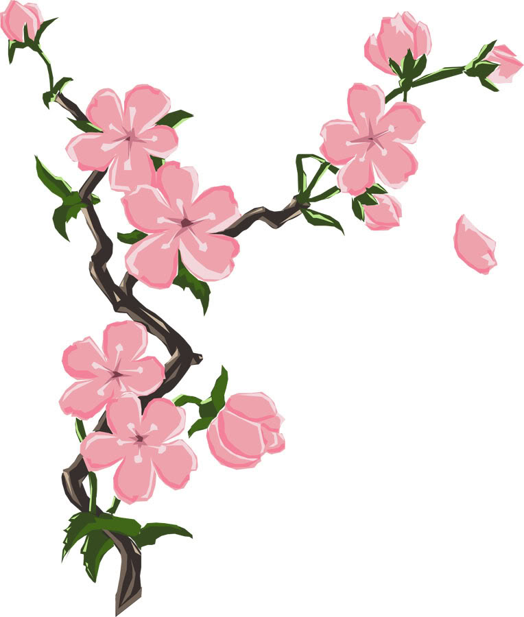 Cherry Blossom Clipart | Free Download Clip Art | Free Clip Art ...