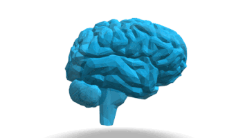Brain GIFs - Find & Share on GIPHY