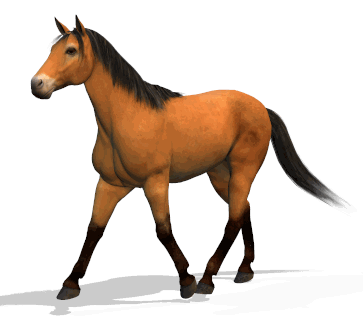 Pictures Of Animated Horses | Free Download Clip Art | Free Clip ...