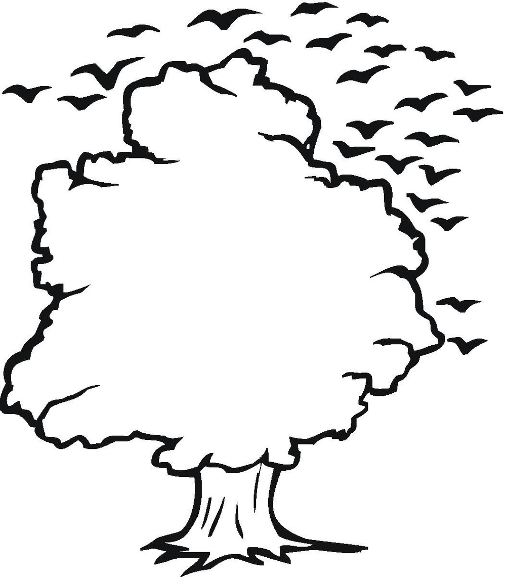 Tree Outline Clip Art - Tumundografico