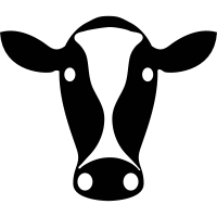Cow icons