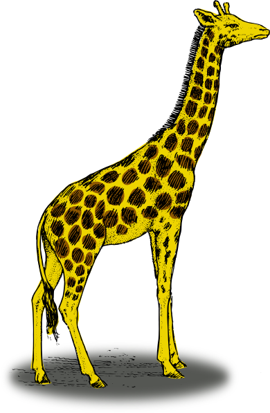 Cartoon Giraffe Clip Art Hight