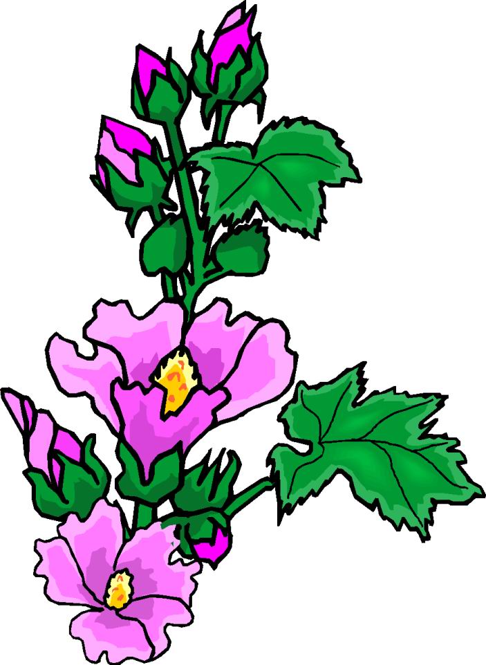 Clip Art - Clip art flowers 527743