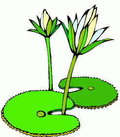 Clip Art» Garden» Completely free ...