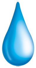 Rain Drop | Product Detail | Scholastic Printables