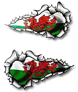 Sticar-it Ltd Long Pair RIPPED TORN METAL Vinyl Car Van Sticker ...