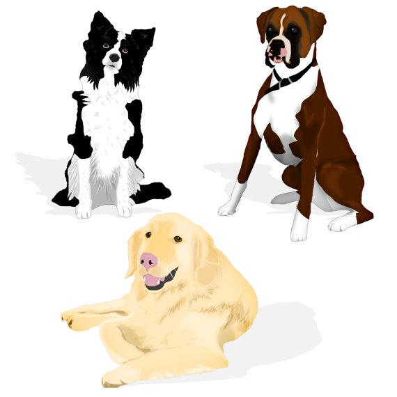 59+ Cartoon Border Collie Clipart