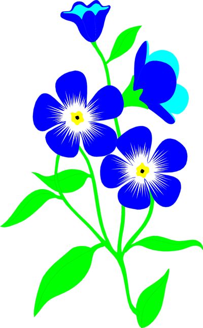 1000+ images about â?¡â?¡FORGET ME NOT..â?¡â?¡