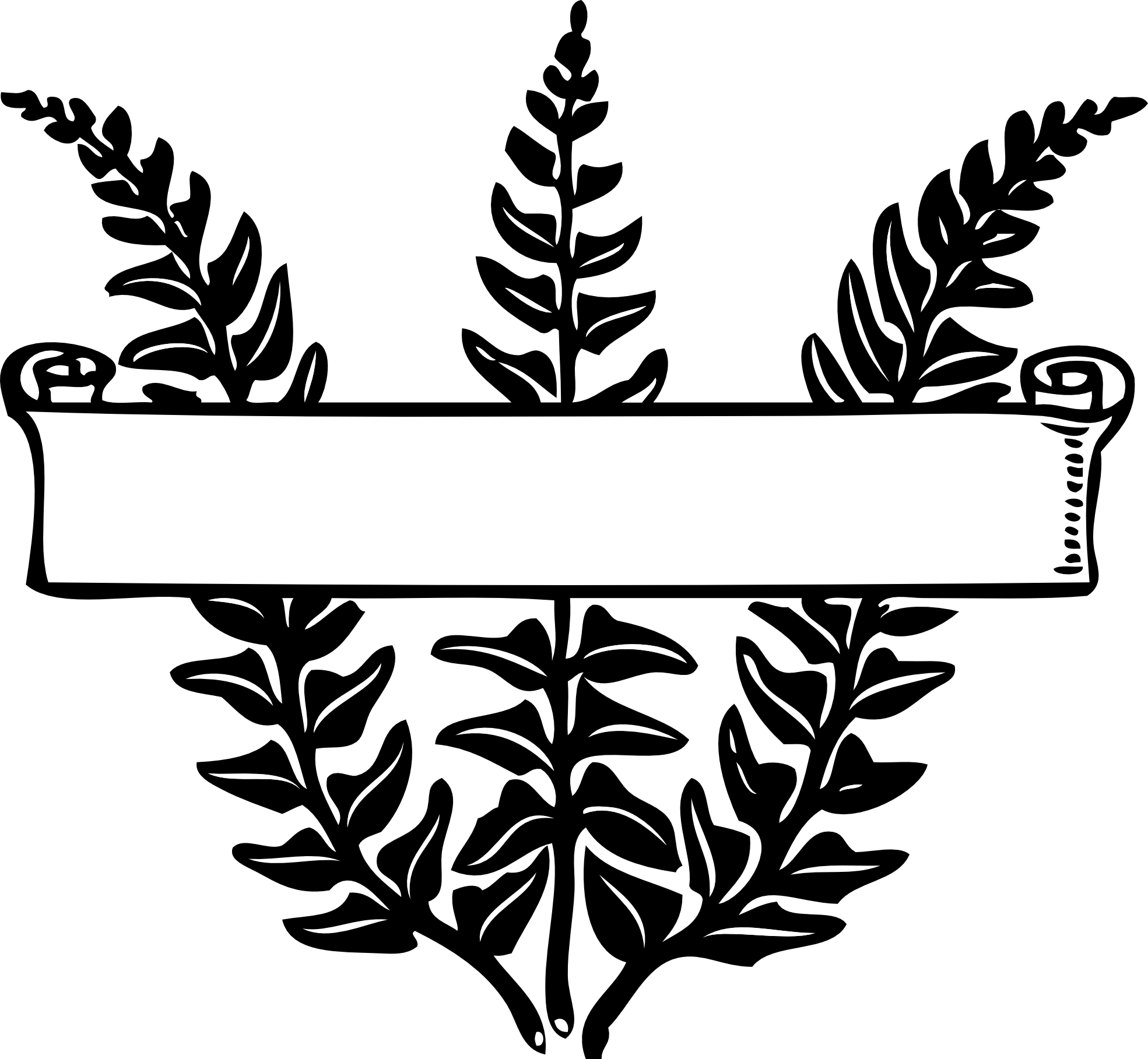 scroll over ferns black white line art coloring ...