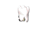 Dental Health web sites