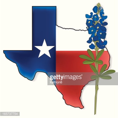 Texas State Flag Vector Art | Getty Images