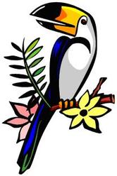 Clip Art Rainforest Birds Clipart