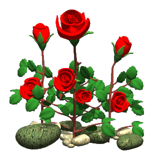 Flowers Gif Animated Gifs Animations Images Pictures