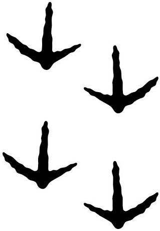 Turkey Tracks Clipart