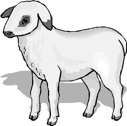 Clip Art - Clip art sheep 763393