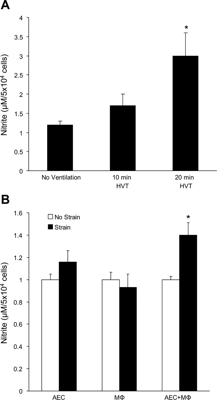 Alveolar macrophages contribute to alveolar barrier dysfunction in ...