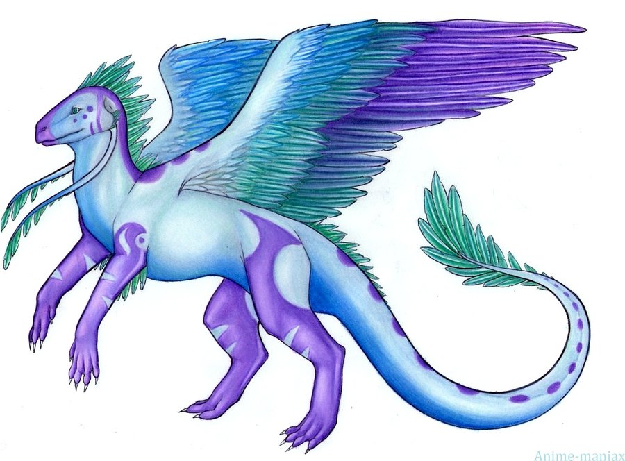 Anime Wind Dragon