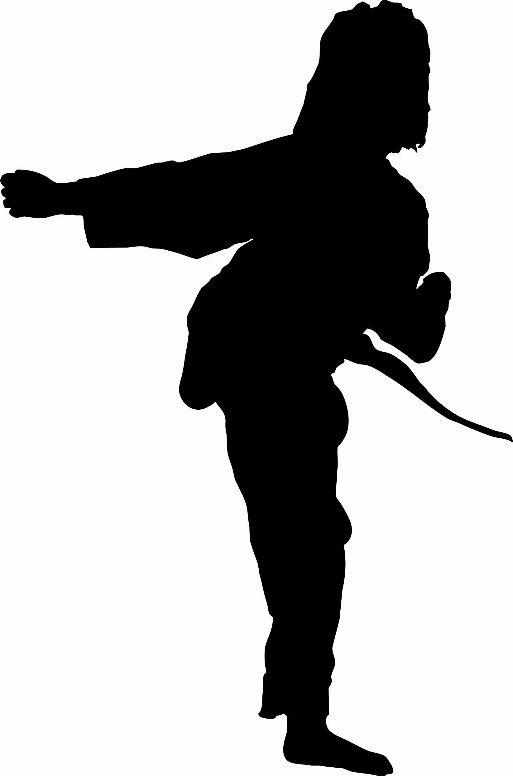 Shaw Jewish Community Center : karate silhouette