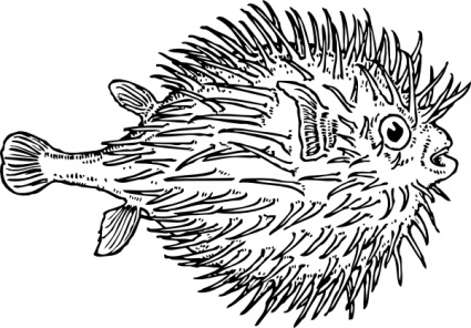 Fish Outline Vector - Download 1,000 Vectors (Page 1)