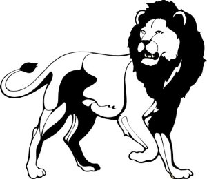 Amazon.com - scary lion, Vinyl sticker, stickers, Decal, Deco, H ...