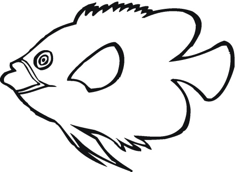 Fish in Seaweed coloring page | Super Coloring