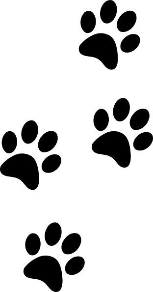American Kennel Club Canine Health Foundation