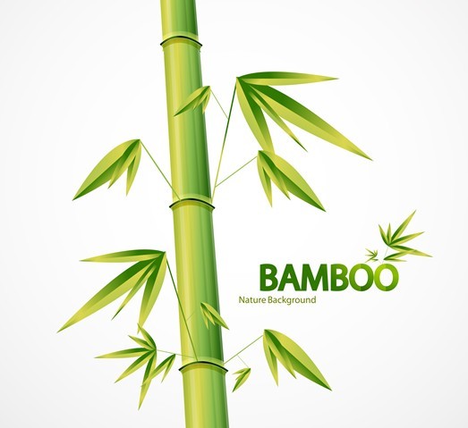Simple Classical Bamboo Vector Illustration 04