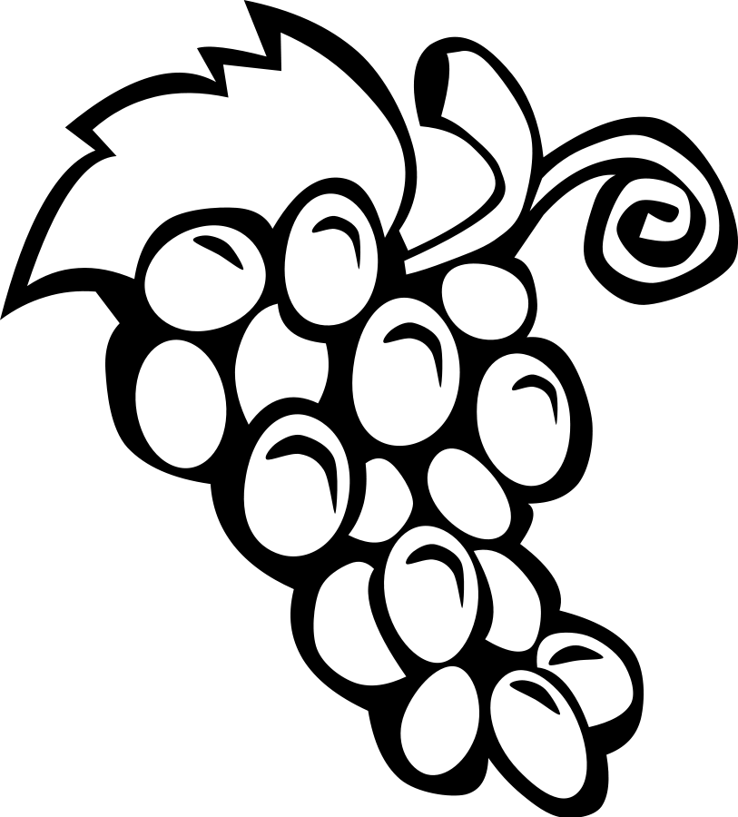 Fruit Vector