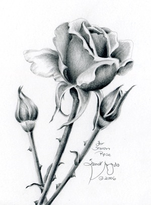 Pencil Drawing Of Flowers - ClipArt Best