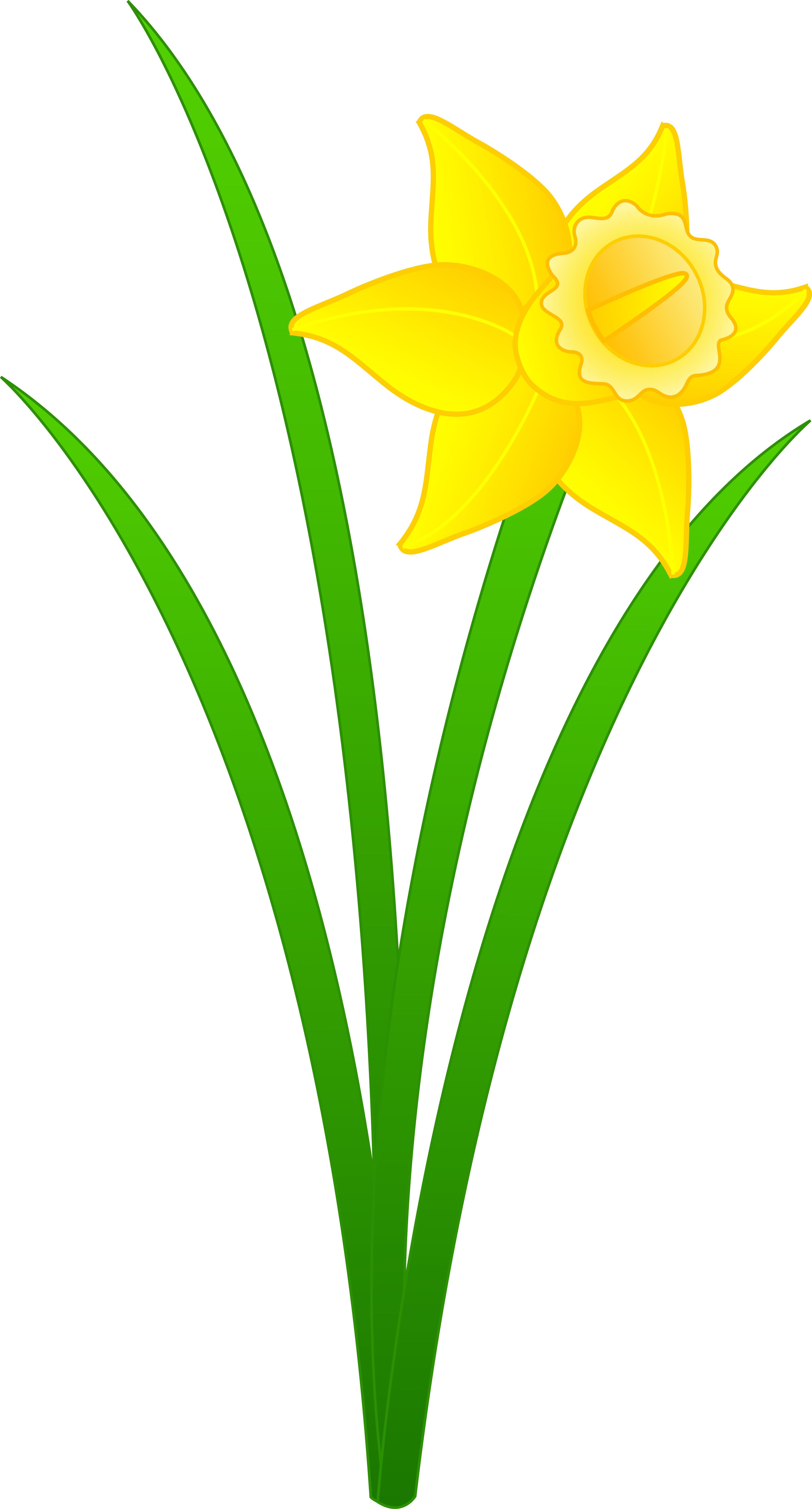 Daffodil Flower Clip Art - Free Clipart Images