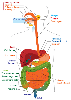 Aluminum in our Food: Manslaughter by Gross Neglect? | Heroin and ...