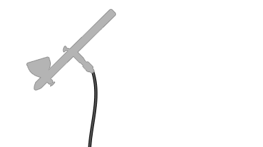 Animated Signature