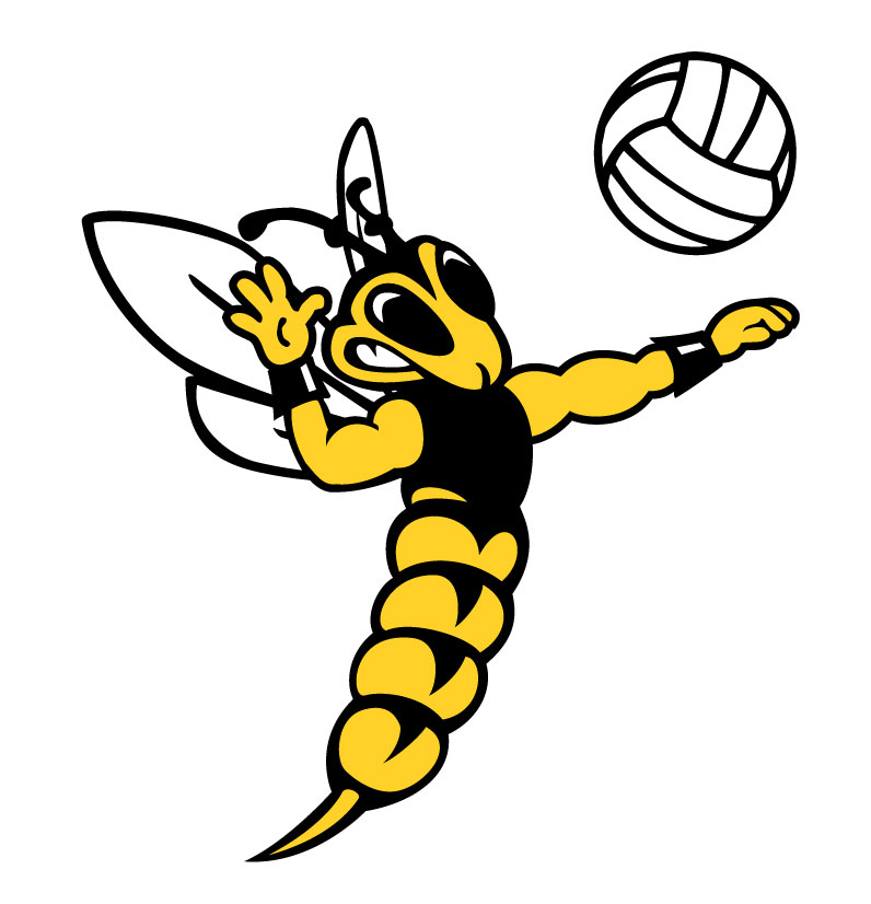 Volleyball Graphics and Animated Gifs