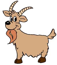 Home - The Hillbilly Goat Lovers