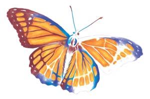 Learn How to Draw and Paint Books for All Artists | Walter Foster