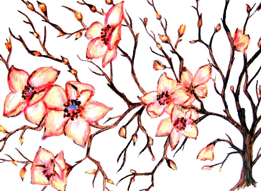 Easter Dogwood 2 Painting by Colene Milligan
