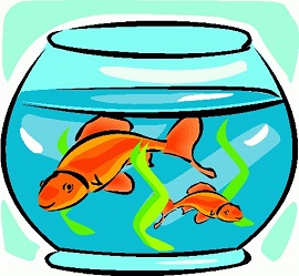Free Goldfish Clipart