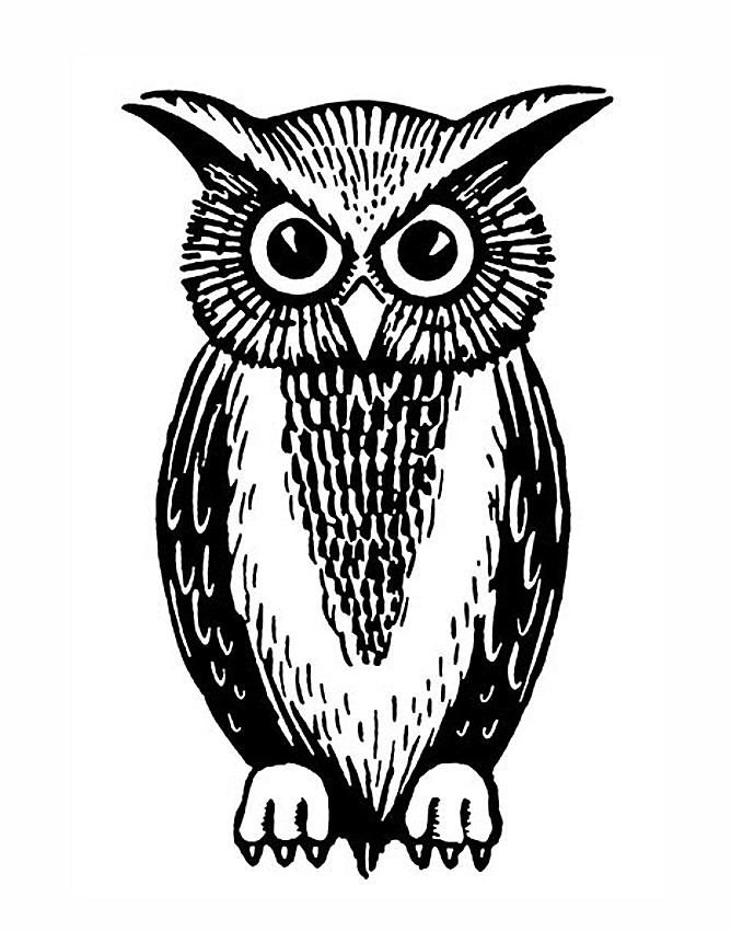 Owl Tattoo Designs [Slideshow]