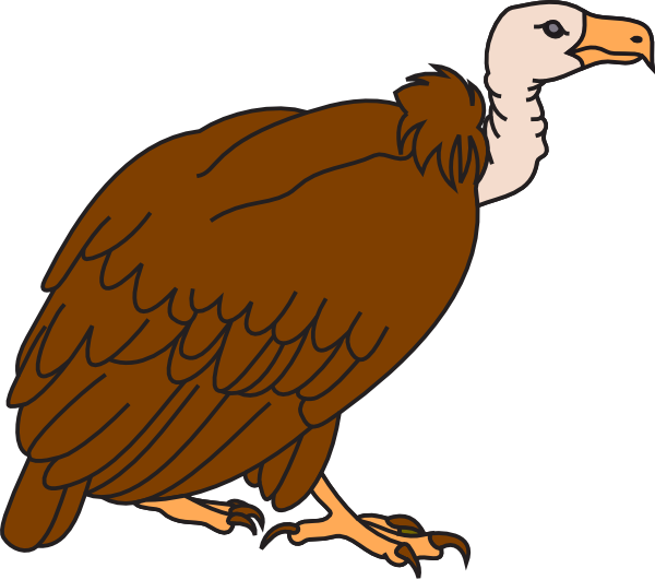 Cute Vulture Clipart - Free Clipart Images