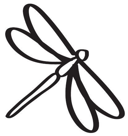 1000+ images about dragonfly | Wings, Dragon flies ...