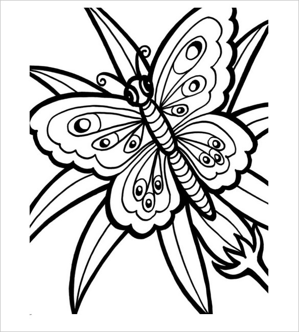 30+ Butterfly Templates – Printable Crafts & Colouring Pages ...