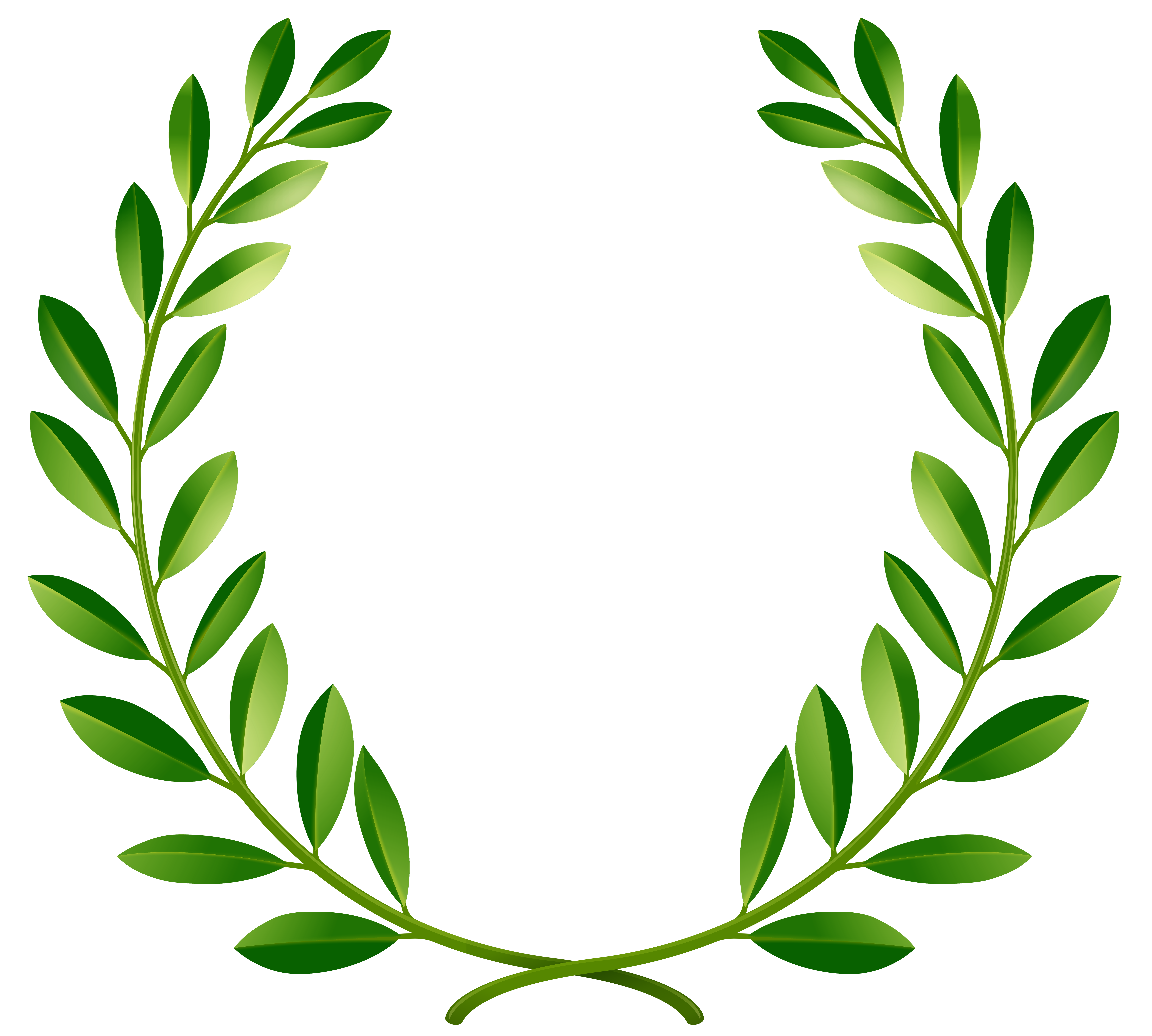 Green Laurel Leaves PNG Clip Art Image