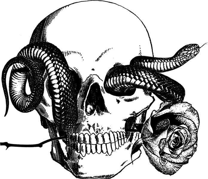 human skull snake tattoo art rose png by DigitalGraphicsShop